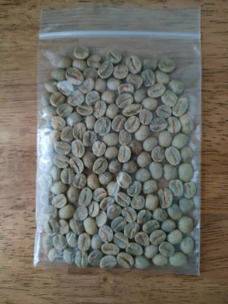 生豆の様子は、青い色したコーヒー豆です。